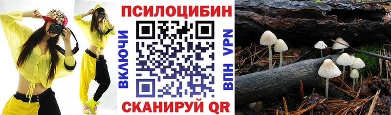 сайты даркнета наркотические препараты  Очёр  мега маркетплейс  Галлюциногенные грибы Cubensis  купить  